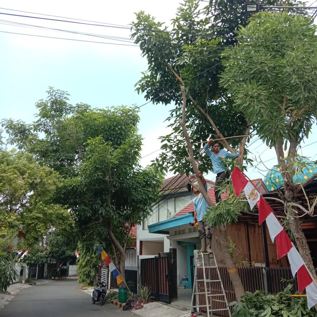 Pemangkasan Pohon